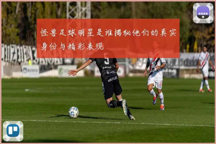 怪兽足球明星是谁揭秘他们的真实身份与精彩表现