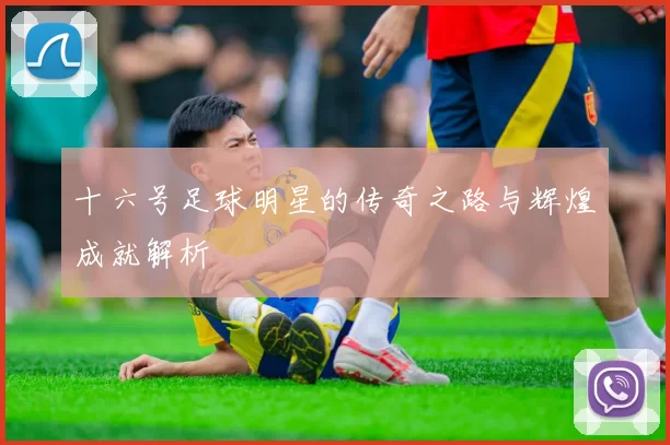 十六号足球明星的传奇之路与辉煌成就解析