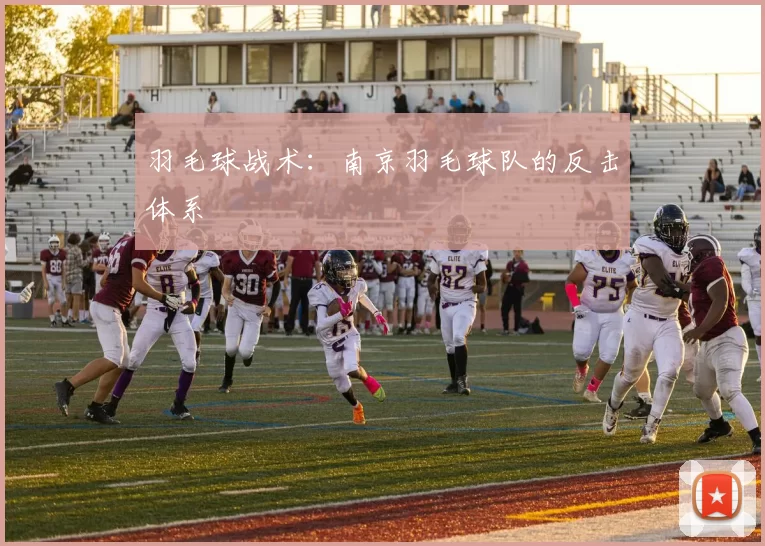 羽毛球战术：南京羽毛球队的反击体系