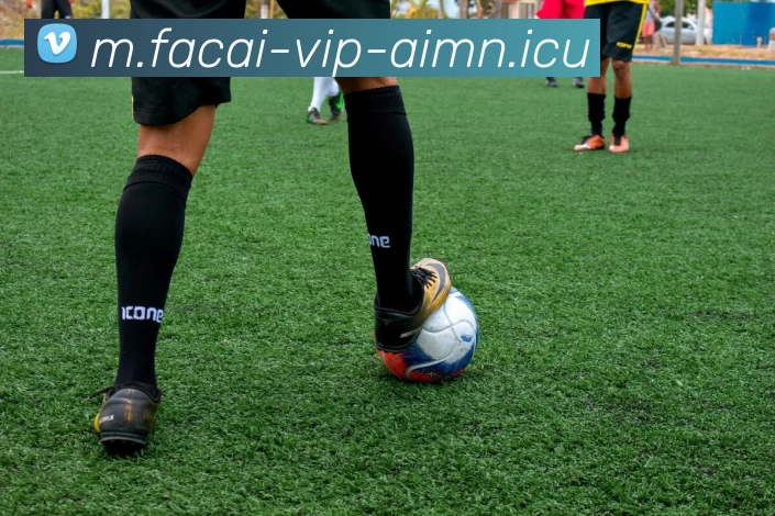 爱游戏体育注册平台生态图